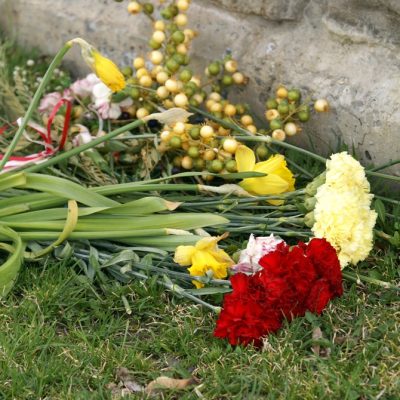 Phoenix, AZ – Fatal Pedestrian Crash at Deer Valley Rd & 26th Ave